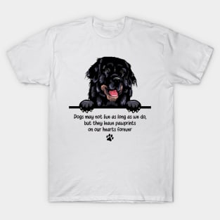 Dogs may not live as long as we do, but they leave pawprints  on our hearts forever T-Shirt